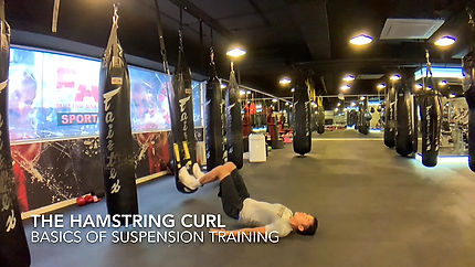 16B The Hamstring series - the hamstring curl